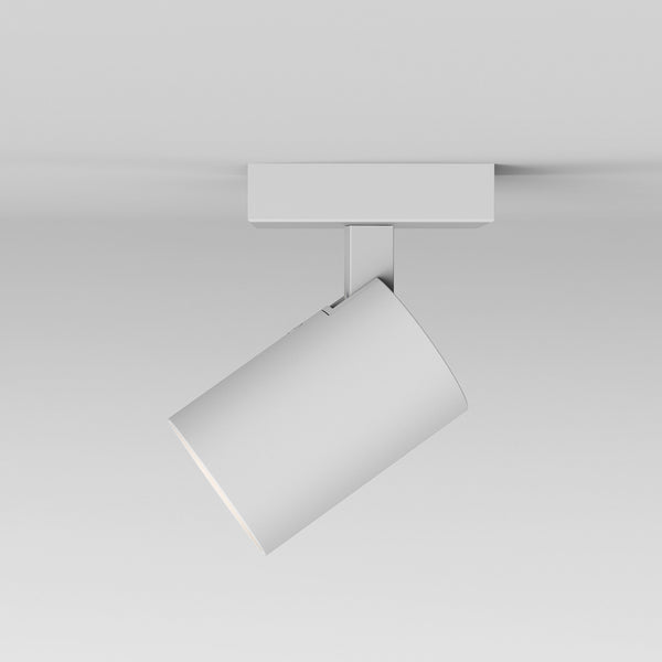 1286001__image-26463.jpg