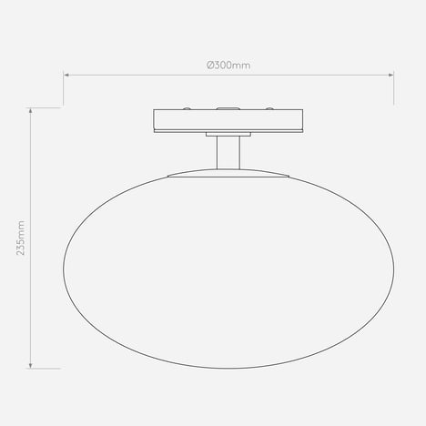Zeppo Ceiling 4