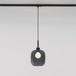 Curve Glass 220, Dark Smoke